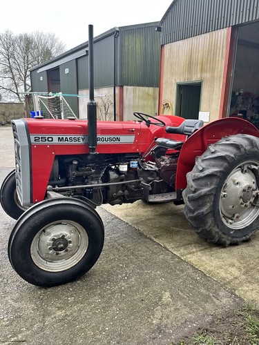 Massey ferguson 250 1983 - ferguson,