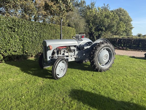 Grey ferguson tractor - grey,