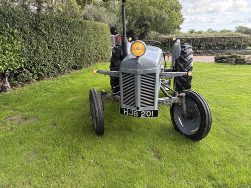 Grey ferguson tractor tvo - ferguson,