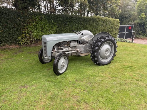 Grey ferguson tractor - grey,