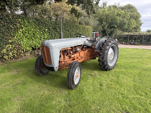 Massey ferguson grey and - ferguson,