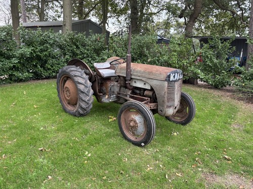 1951 grey ferguson - 1951,