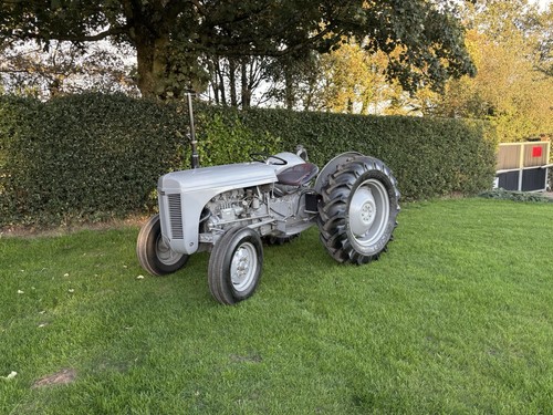 Grey ferguson diesel - grey, tef