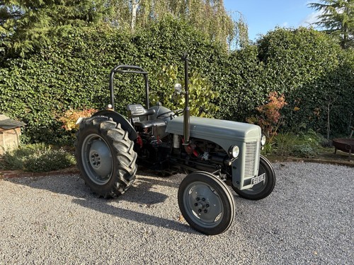 1953 ferguson ted - ferguson,