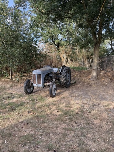Grey ferguson tractor - grey,