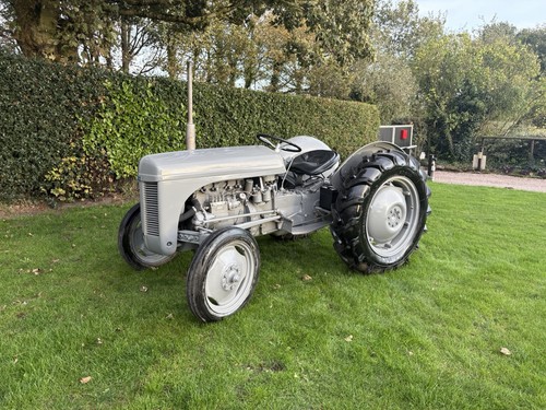 Grey ferguson tractor - grey,