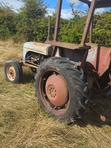 Tef massey ferguson tractor - ferguson,