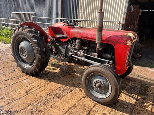 Massey ferguson grey - grey, gold