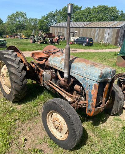 1955 ferguson tef diesel - 1955,