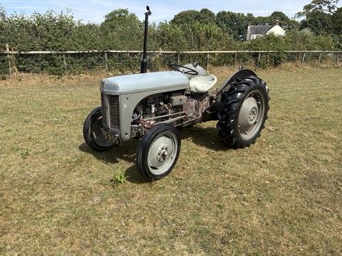 Grey ferguson tvo tractor - ferguson,
